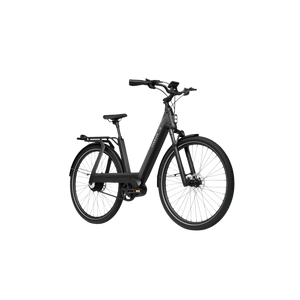 Electric bicycle TENWAYS AGO T, Black product image