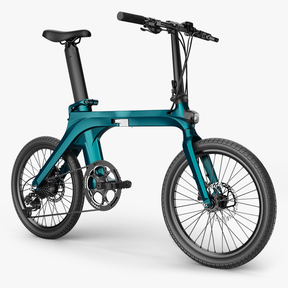 Fiido X Electric Bike
