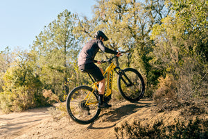 Electric bicycle GIANT Fathom E+ 2, 29" Sun Beam (L) product image