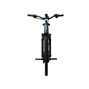 Electric bicycle TENWAYS Ago Performance, 29" Mineral Blue product image