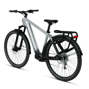Electric bicycle TENWAYS AGO X, 29" Gradient Silver (L) product image