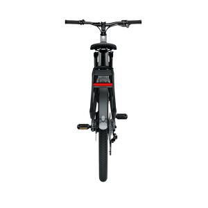 Electric bicycle TENWAYS AGO X, 29" Gradient Silver (L) product image