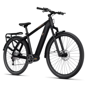 Electric bicycle TENWAYS AGO X, 29" Midnight Black (M) product image