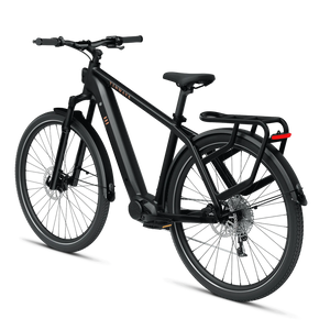 Electric bicycle TENWAYS AGO X, 29" Midnight Black (M) product image