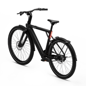 Electric bicycle TENWAYS CGO009, Midnight Black product image
