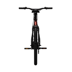 Electric bicycle TENWAYS CGO009, Midnight Black product image