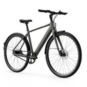 Electric bicycle TENWAYS CGO600 Pro, Willow Mist (L) product image