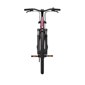 Electric bicycle TENWAYS CGO800S, Wild Berry product image