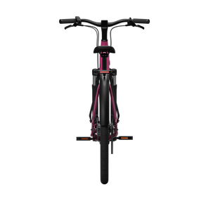 Electric bicycle TENWAYS CGO800S, Wild Berry product image