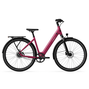 Electric bicycle TENWAYS CGO800S, Wild Berry product image