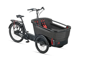 Electric bike BATAVUS Fier 3 product image