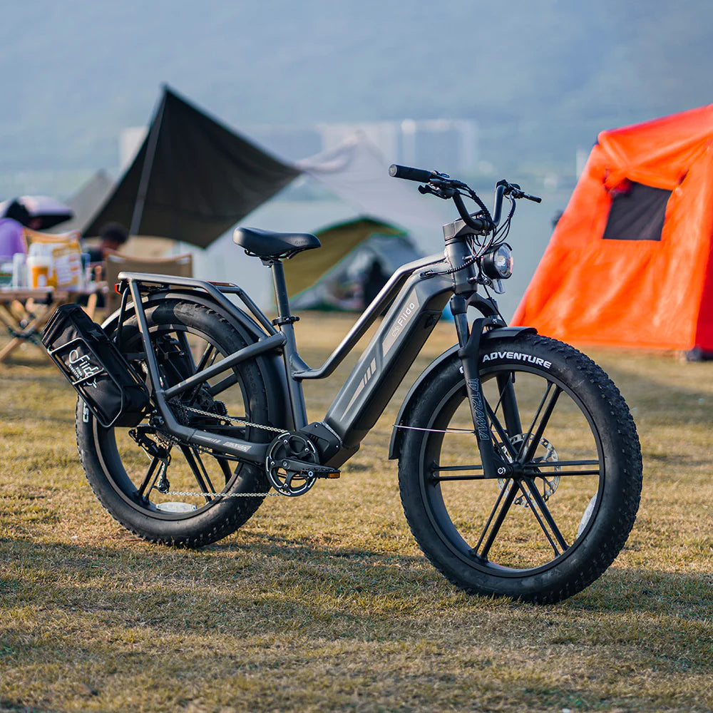 Fiido Titan Electric Bike