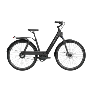Electric bicycle TENWAYS AGO T, Black product image