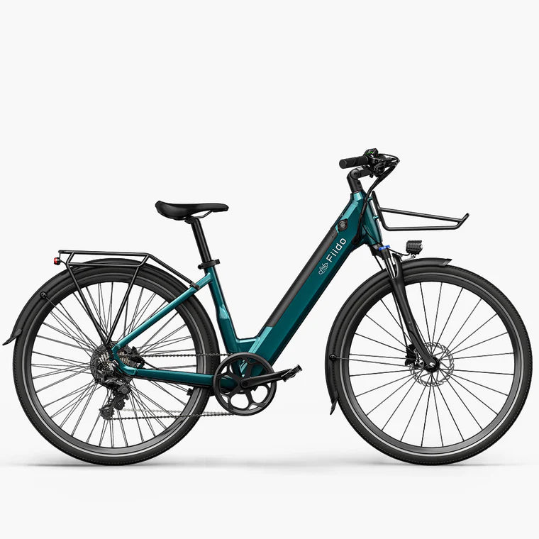 Fiido C11 Electric Bike