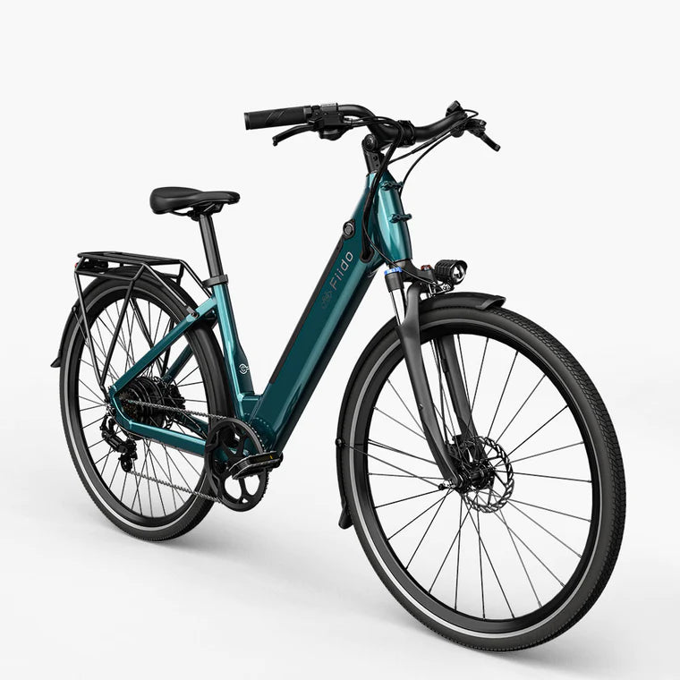 Fiido C11 Electric Bike