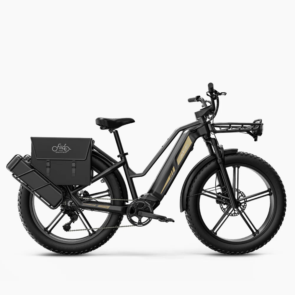Fiido Titan Electric Bike