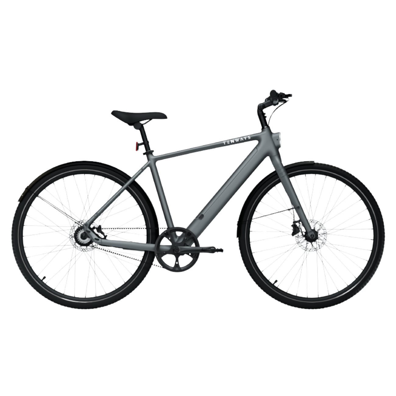 Electric bicycle TENWAYS CGO600 Pro, Pebble Grey (M) product image