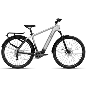 Electric bicycle TENWAYS AGO X, 29" Gradient Silver (L) product image
