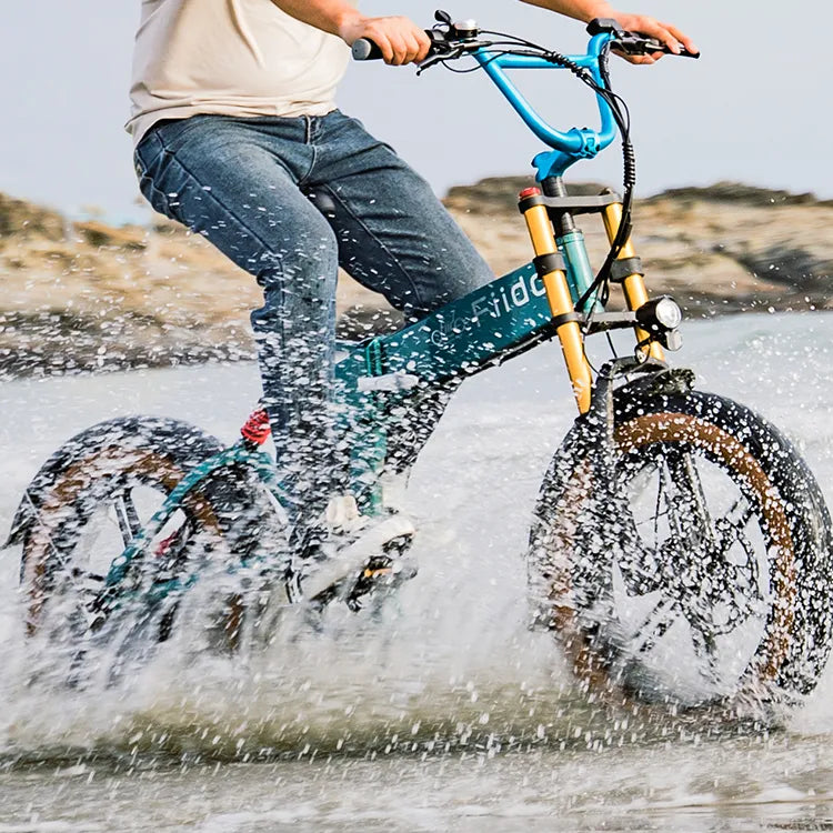 Fiido M1 Pro Electric Bike
