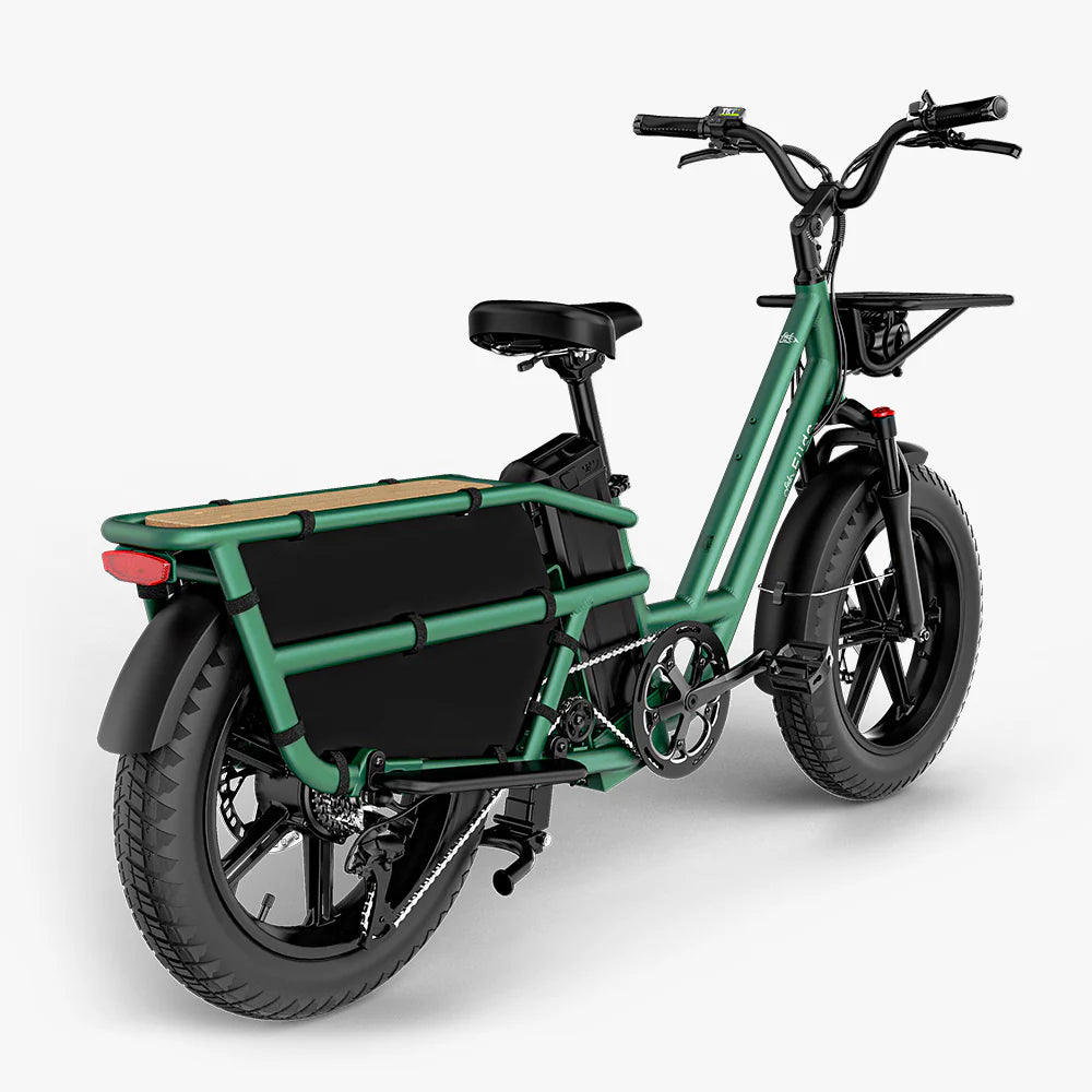 FIIDO T2 Longtail Cargo Electric Bike – ampride