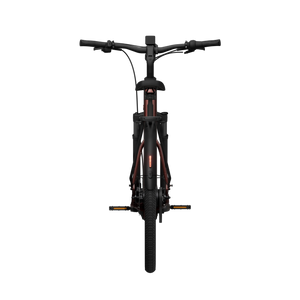 Electric bicycle TENWAYS Ago Air Belt, Velvet Red product image