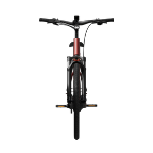Electric bicycle TENWAYS Ago Air Belt, Velvet Red product image