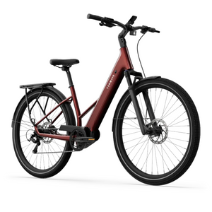 Electric bicycle TENWAYS Ago Air, Velvet Red product image