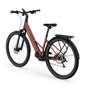Electric bicycle TENWAYS Ago Air, Velvet Red product image