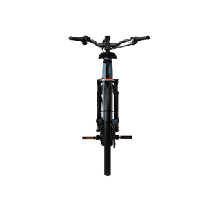 Electric bicycle TENWAYS Ago Performance, 29" Mineral Blue product image