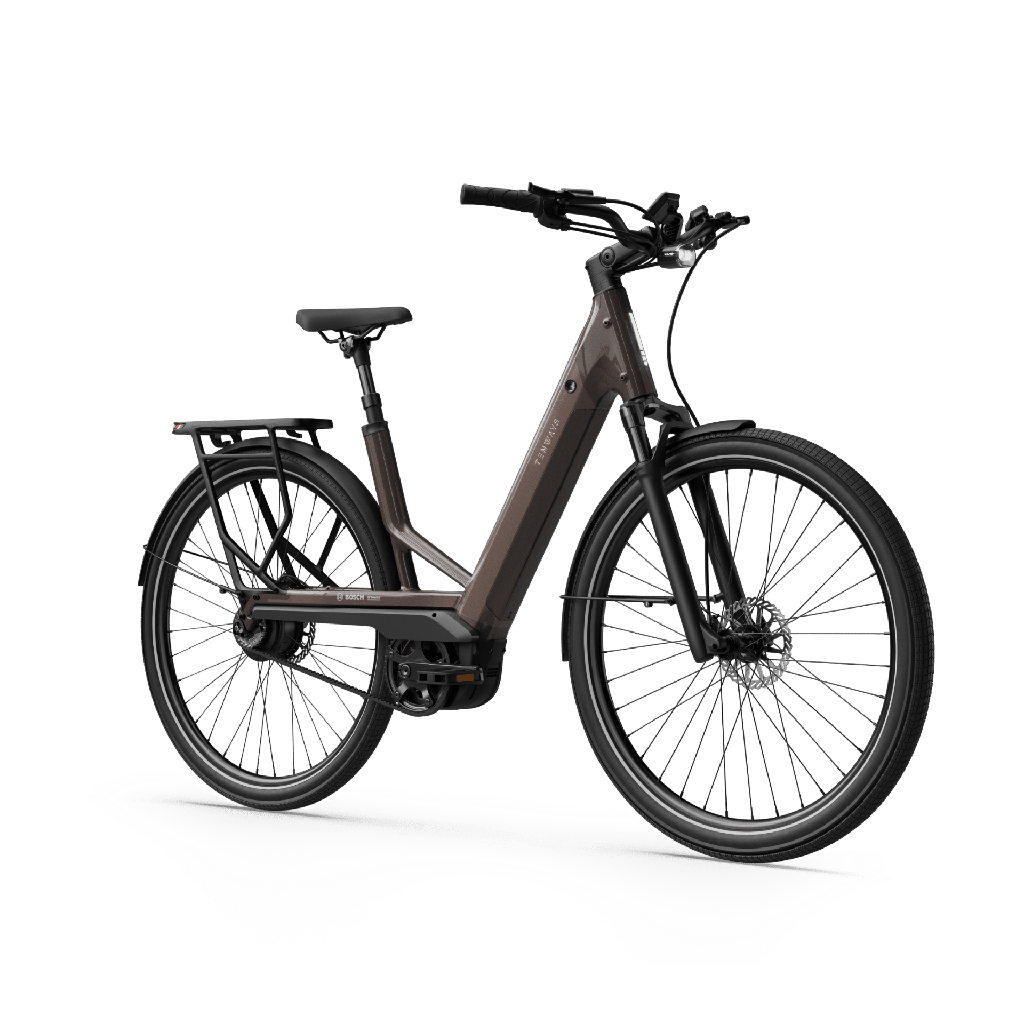 Electric bicycle TENWAYS Ago Performance, 29" Walnut Brown product image