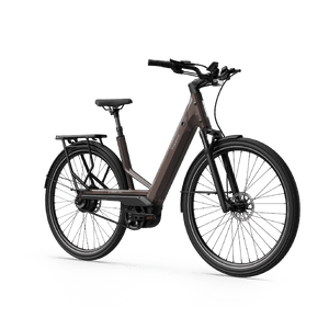 Electric bicycle TENWAYS Ago Performance, 29" Walnut Brown product image