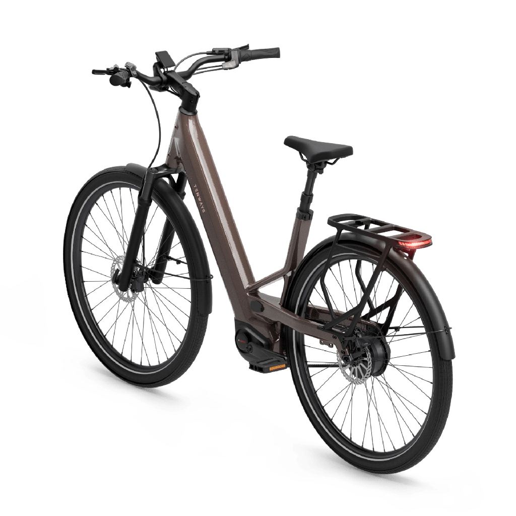 Electric bicycle TENWAYS Ago Performance, 29" Walnut Brown product image