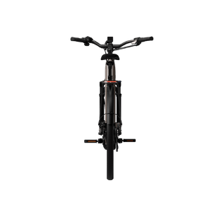 Electric bicycle TENWAYS Ago Performance, 29" Walnut Brown product image