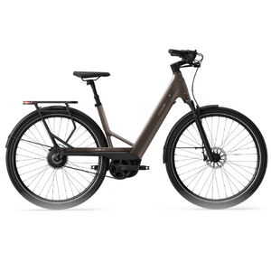 Electric bicycle TENWAYS Ago Performance, 29" Walnut Brown product image