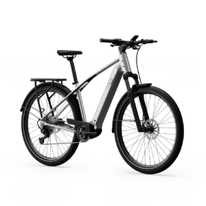 Electric bicycle TENWAYS AGO X Special Edition, 29" Silver product image