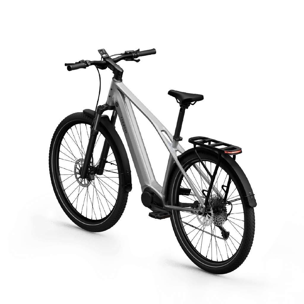Electric bicycle TENWAYS AGO X Special Edition, 29" Silver product image