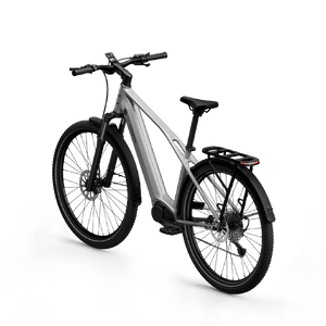 Electric bicycle TENWAYS AGO X Special Edition, 29" Silver product image