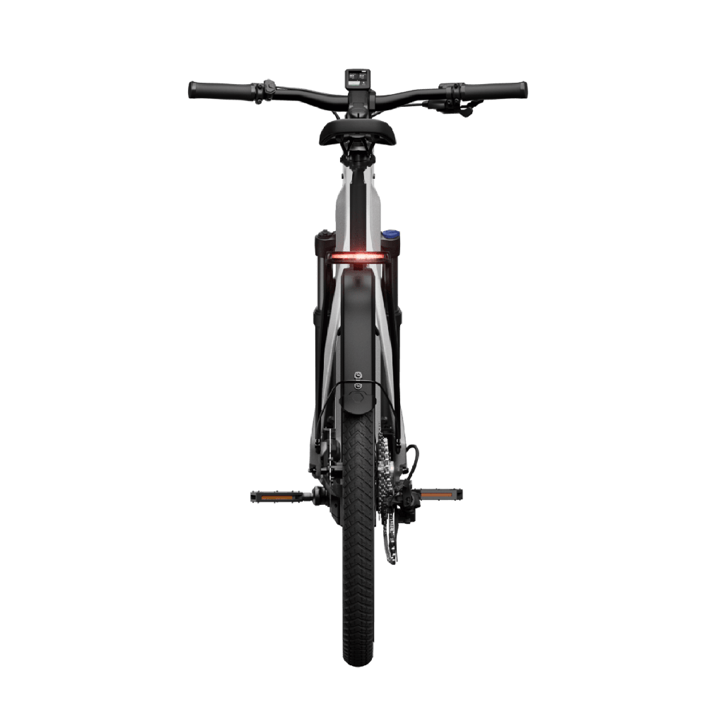 Electric bicycle TENWAYS AGO X Special Edition, 29" Silver product image