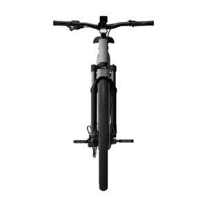 Electric bicycle TENWAYS AGO X Special Edition, 29" Silver product image