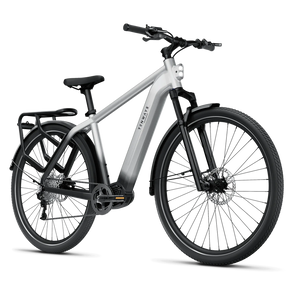 Electric bicycle TENWAYS AGO X, 29" Gradient Silver (L) product image