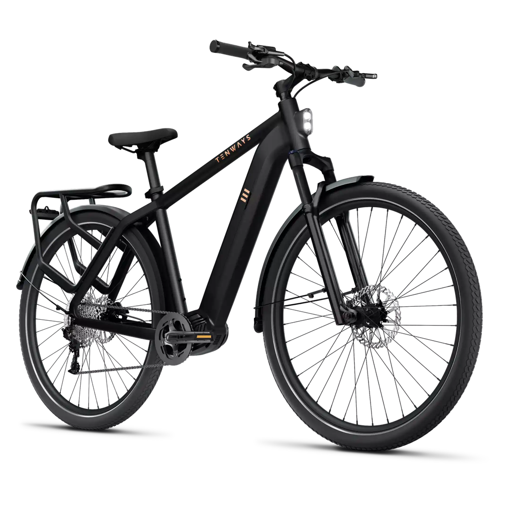 Electric bicycle TENWAYS AGO X, 29" Midnight Black (M) product image