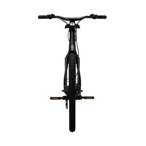 Electric bicycle TENWAYS CGO009, Midnight Black product image