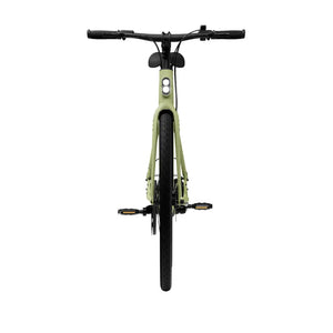 Electric bicycle TENWAYS CGO600 Pro, Avocado Green (M) product image