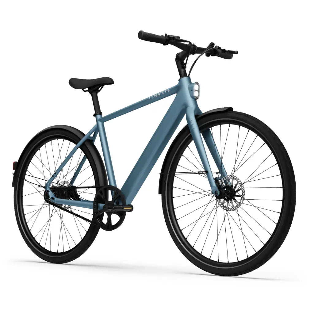 Electric bicycle TENWAYS CGO600 Pro, Sky Blue (M) product image