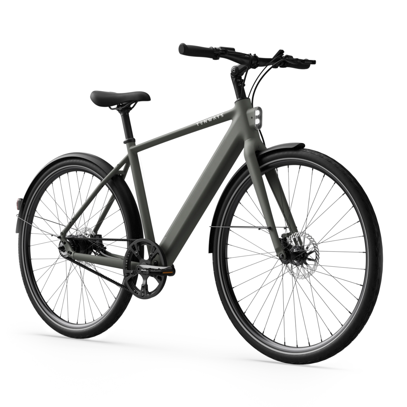 Electric bicycle TENWAYS CGO600 Pro, Willow Mist (L) product image