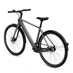 Electric bicycle TENWAYS CGO600 Pro, Willow Mist (L) product image