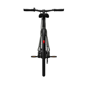 Electric bicycle TENWAYS CGO600 Pro, Willow Mist (L) product image