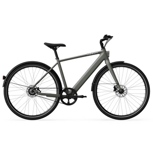 Electric bicycle TENWAYS CGO600 Pro, Willow Mist (L) product image