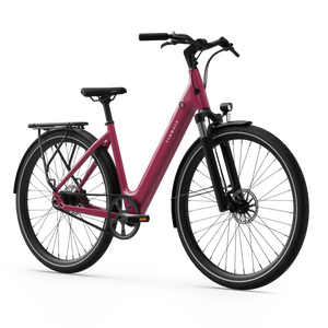 Electric bicycle TENWAYS CGO800S, Wild Berry product image