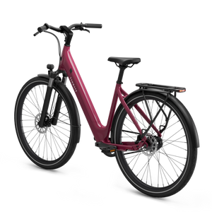 Electric bicycle TENWAYS CGO800S, Wild Berry product image